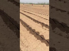 ড্রিপ ইরিগেশন টেপ