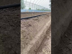 ড্রিপ ইরিগেশন টেপ