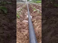 স্প্রে টেপ